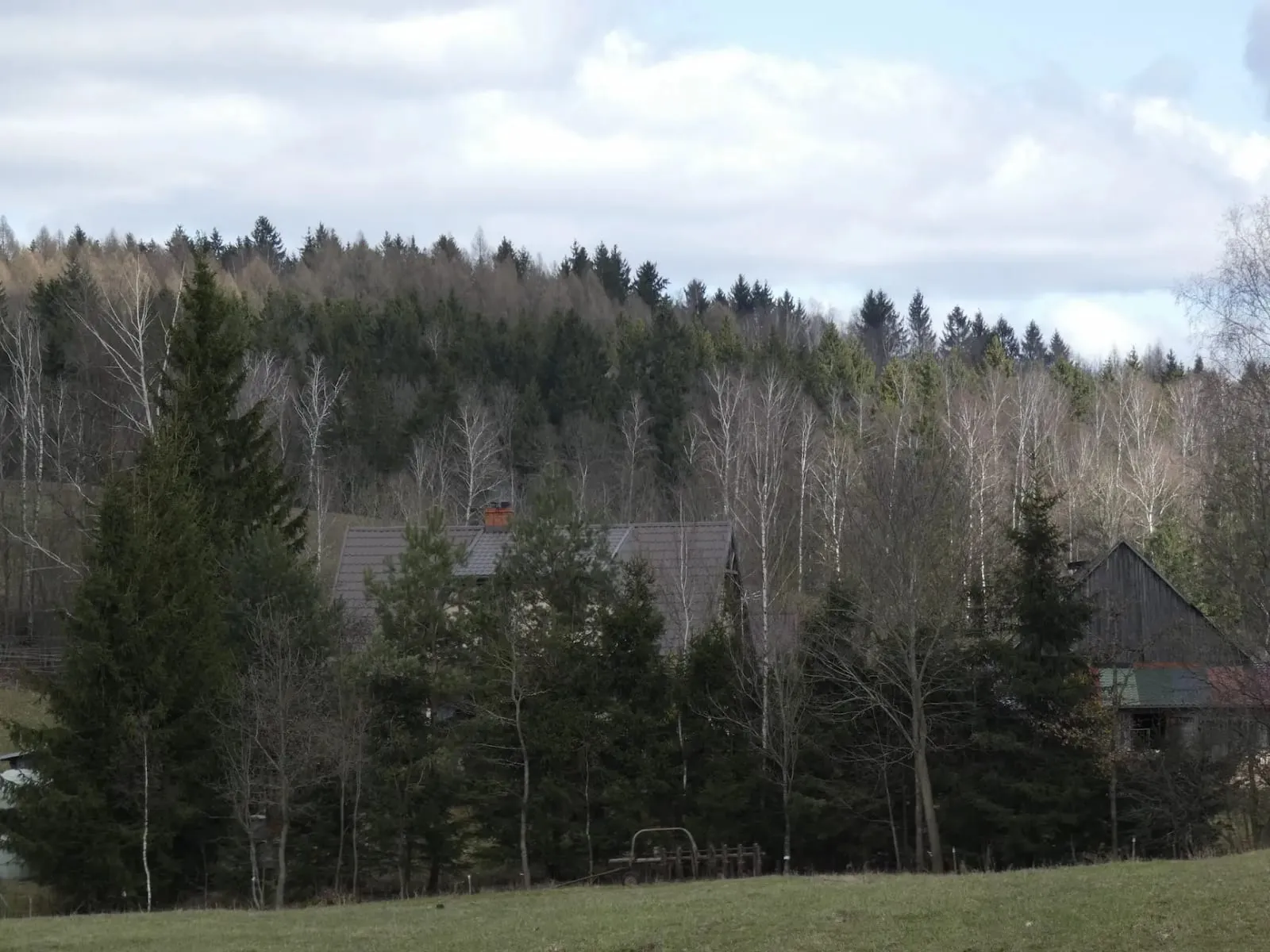 Dom bazy agroturystyki Huta 5 wśród drzew i lasu