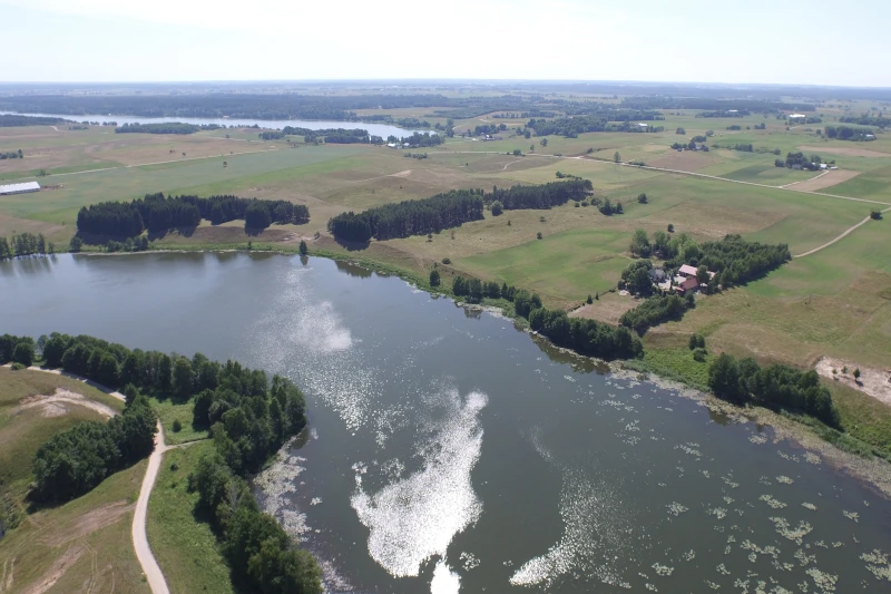 Bona i dwie polany — Huta 5 przy Filipowie i Rospudzie