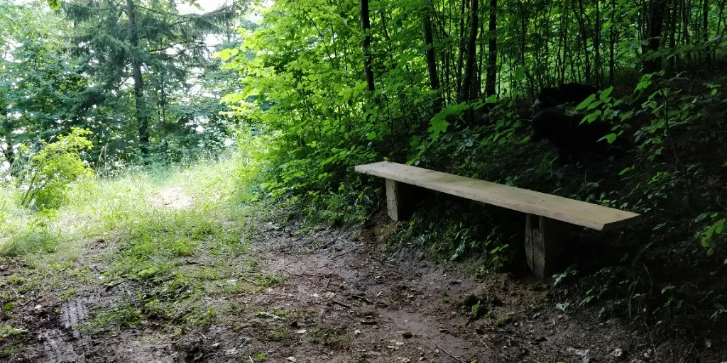 Drewniana ławka przy ścieżce nad jeziorem Rospuda Filipowska, Huta 5