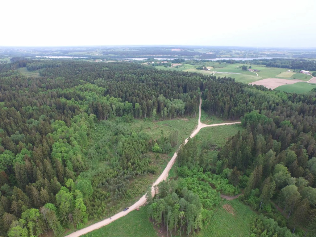 Rozstaje w lesie